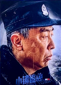 欧美性国产